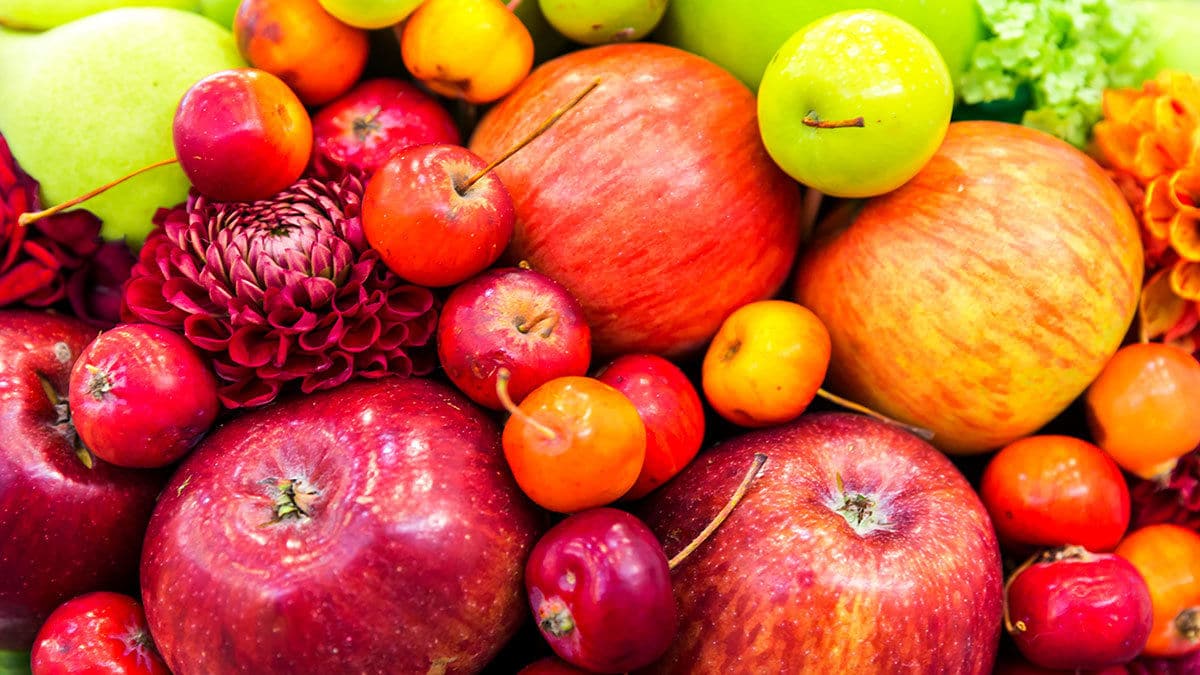 Obezite Cerrahisinden Sonra Vitamin ve Mineral Eksiklikleri Korkulduğu Kadar Ciddi mi, Önlenebilir mi, Nasıl Farkedilir, Nasıl Tedavi Edilir? 1 Obezite Cerrahisinden Sonra Vitamin ve Mineral Eksiklikleri Korkulduğu Kadar Ciddi mi, Önlenebilir mi, Nasıl Farkedilir, Nasıl Tedavi Edilir? 1