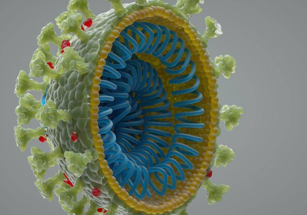 Corona Virus_Image©Andriy Onufriyenko/Getty